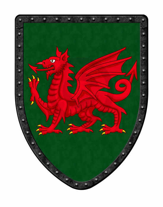 Red Dragon on Green medieval shield