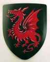 SH200_Dragon_Shield.jpg (161552 bytes)