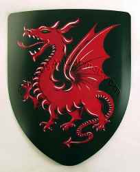 SH200_Dragon_Shield.jpg (161552 bytes)